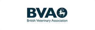 Bvao