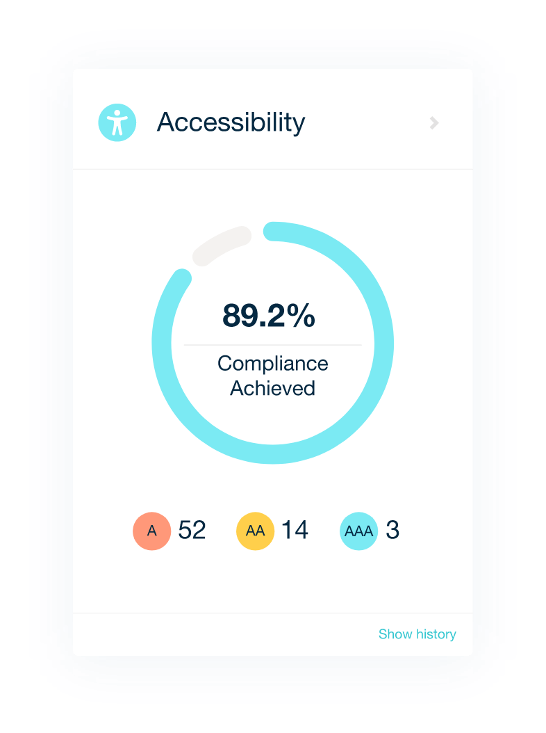 Accessibility results displayed inside the Monsido platform.